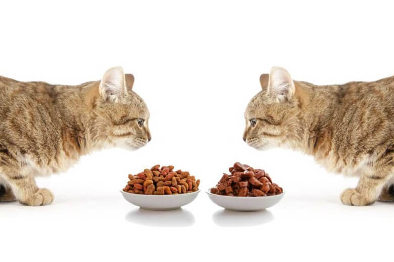 Cuál es la mejor comida húmeda para gatos