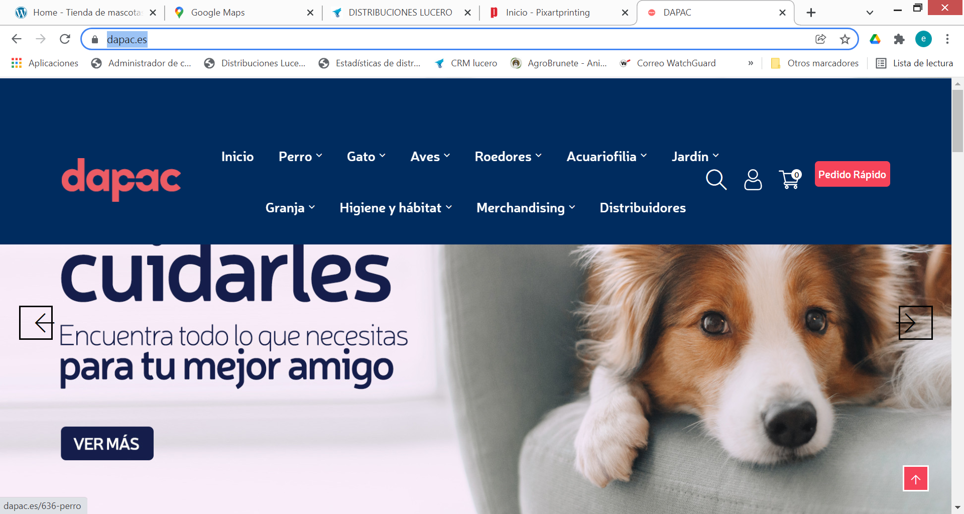 Descubre nuestra nueva web de DAPAC